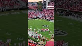 DAWGS vs Miss State howboutthemdawgs betweenthehedges godawgs sicem saturdayinathens [upl. by Ynaffital]