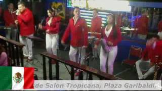 Nery Pedraza CUMBIA CON ARPA en Salon Tropicana [upl. by Atinehs769]