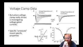 Electrophysiology 7  Interpretation of Intracellular data [upl. by Dymoke851]