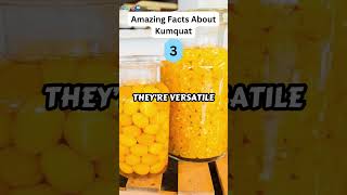 5 Amazing Facts About Kumquat zapetv fruit facts [upl. by Ecineg200]