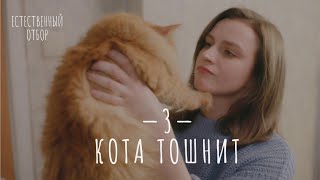 Естественный отбор Серия 3 Кота тошнит — Комедия  Фильмы и сериалы [upl. by Eeneg]