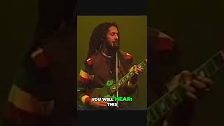 The Last Trumpet  A Call to Humanity planetareggae reggaepedra reggae reggaesounds music [upl. by Ahsenet]