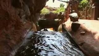 Splash Mountain Front Seat POV Full Ride Walt Disney World [upl. by Allenod]