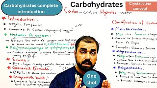 Carbohydrates complete introduction  classification of carbohydrates  class 11  in Urdu  Hindi [upl. by Wyn]