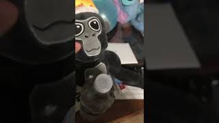 Car crash memes funny plush [upl. by Diamond]