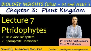 XI Biology  Pteridophytes  Lecture 7  Chapter 3  Plant Kingdom  NEET [upl. by Autry]