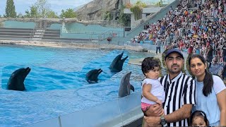 Dolphin 🐬Show Live in ItalyOltremare RiccioneAvi Italian vlogs [upl. by Lorrayne]