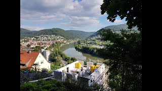 Neckarsteig  Etappe 4 von Hirschhorn nach Eberbach [upl. by Lindsy]