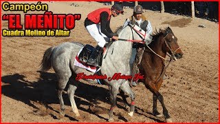 Carreras de Caballos en Atil Sonora 17 de Febrero 2019 [upl. by Nnaeoj]