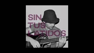 sin tus latidos Aute cover by Dremo [upl. by Anaytat913]