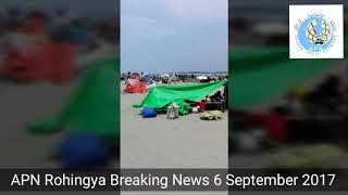 Rohingya Breaking News 6 September 2017 Arakan Press Network [upl. by Suivatco]