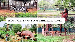 Bannerghatta National Park 2024 Bangalore Bannerghatta Biological Park  bannerghatta zoo and safari [upl. by Linders460]