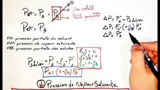 propriétés colligatives biophysique des sollutions 1ere année médecine [upl. by Modeste]