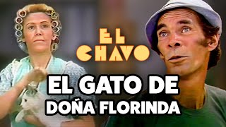 Don Ramón y el misterio de los peces desaparecidos  El Chavo Del 8 [upl. by Anuahsar732]