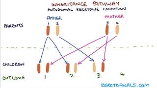 Understanding Autosomal Dominant and Autosomal Recessive Inheritance [upl. by Frazier540]