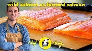 Wild Salmon vs Farmed Salmon  Chef Andy [upl. by Ardme]