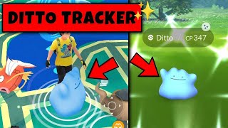 How to Catch Ditto in Pokemon Go  Ditto All Disguise in Pokemon GO  Pokemon Go Ditto Catching [upl. by Oned]