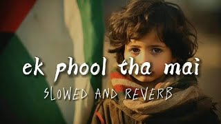 Ek Phool Tha Mai Jo Khil Na Saka  slowedreverb  Hearttouching naat By Amjad Baltistani [upl. by Hodosh351]