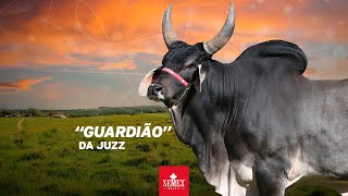 Guardião da Juzz [upl. by Nageem]