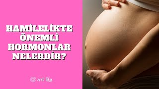 Hamilelik Döneminde En Önemli Hormonlar Nelerdir  SNT Life [upl. by Reames836]