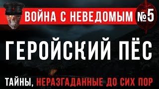 Война с неведомым 5 «Героический Пёс» [upl. by Aiela]