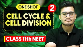 CELL CYCLE amp CELL DIVISION  Complete Chapter in One Video  ConceptsPYQs  Class 11th NEET [upl. by Conal536]