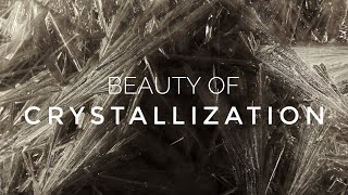 Beauty of Crystallization  A Time Lapse Video about Crystal Growth [upl. by Analim73]