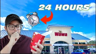 I Ate WAWA Food for 24 HOURS [upl. by Gnuhc]