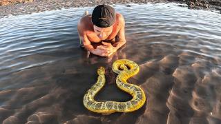 Exploring For Venomous Sea Animals In Tide Pools [upl. by Anera]