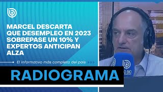 Marcel descarta que desempleo en 2023 sobrepase un 10 y expertos anticipan alza [upl. by Ynney]