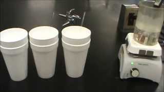 Calorimetry Experiment with different metals [upl. by Karlow]