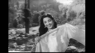 DEEWANA MASTANA HUA DILASHA BHOSLE RAFI MAJROOH SULTANPURI  S D BURMAN  BOMBAI KA BABU 1960 [upl. by Karney]