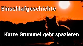 Einschlafgeschichte  Katze Grummel geht spazieren  GuidoLudwigs [upl. by Rraval228]