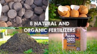 8 Natural and Organic Fertilizers to Grow Big Plants [upl. by Horne]