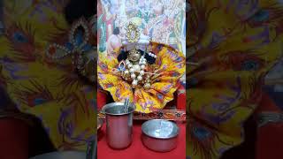 Radhe Radhe Japa Karo Krishna Naam Ras Piya Karo [upl. by Wohlert]