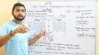 CFTRCystic Fibrsis Transmembrane Conductance RegulatorCSIR NETin Hindi [upl. by Kingdon]