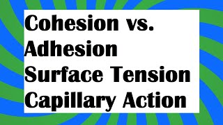 Cohesion vs adhesion [upl. by Aihtyc]