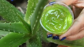 How to Make Aloe Vera Gel At Home Naturally [upl. by Ammon703]