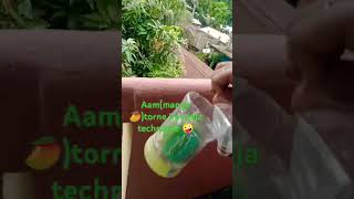 Maina00098aam🥭chinger NINJA techniqueghoror aam🥭assamesevlog shortvideo💗 SUBSCRIBE ma friends 💗 [upl. by Mide]