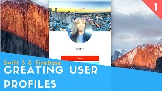 Swift 3 amp Firebase  Create User Profiles  Part 1 Setup [upl. by Bruyn]