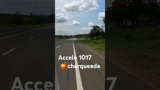 Charqueada 🍉 accelo 1017 mercedes benz 💾 [upl. by Almap]