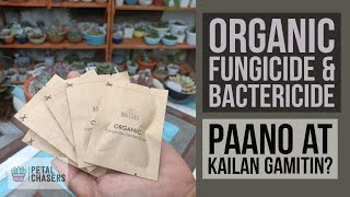 Paano Gumamit Ng Organic Fungicide Para Sa Succulents [upl. by Retrac298]