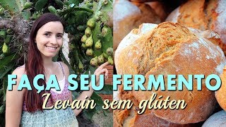 FERMENTO NATURAL LEVAIN sem glúten  O Guia mais completo da massa madre [upl. by Alurd648]