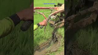 Traktor Sawah 252 Hand Tractor Video traktorsawah traktormini tractor [upl. by Mcnelly]