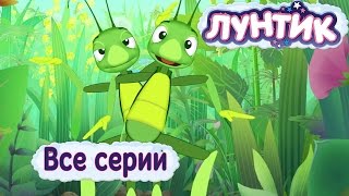 Лунтик  Все серии  Мультики для детей [upl. by Tabb921]