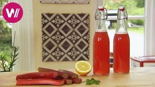 Rhabarbersirup selber machen mit Rezept  Sommerdrink für die ganze Familie [upl. by Eilrebmik]