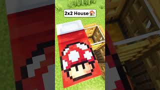 Minecraft Smallest Survival House🏠 Worlds Smallest Violin shorts minecraft [upl. by Rosmunda859]