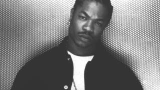 Xzibit  Paparazzi [upl. by Knipe]