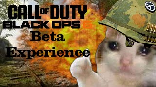 The Call of Duty Black Ops 6 Beta Experience [upl. by Prasad]