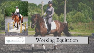 Working Equitation Clinic with Paulo Santos  QRP Dressage Lusitanos  SJB Equanimity [upl. by Tnek]